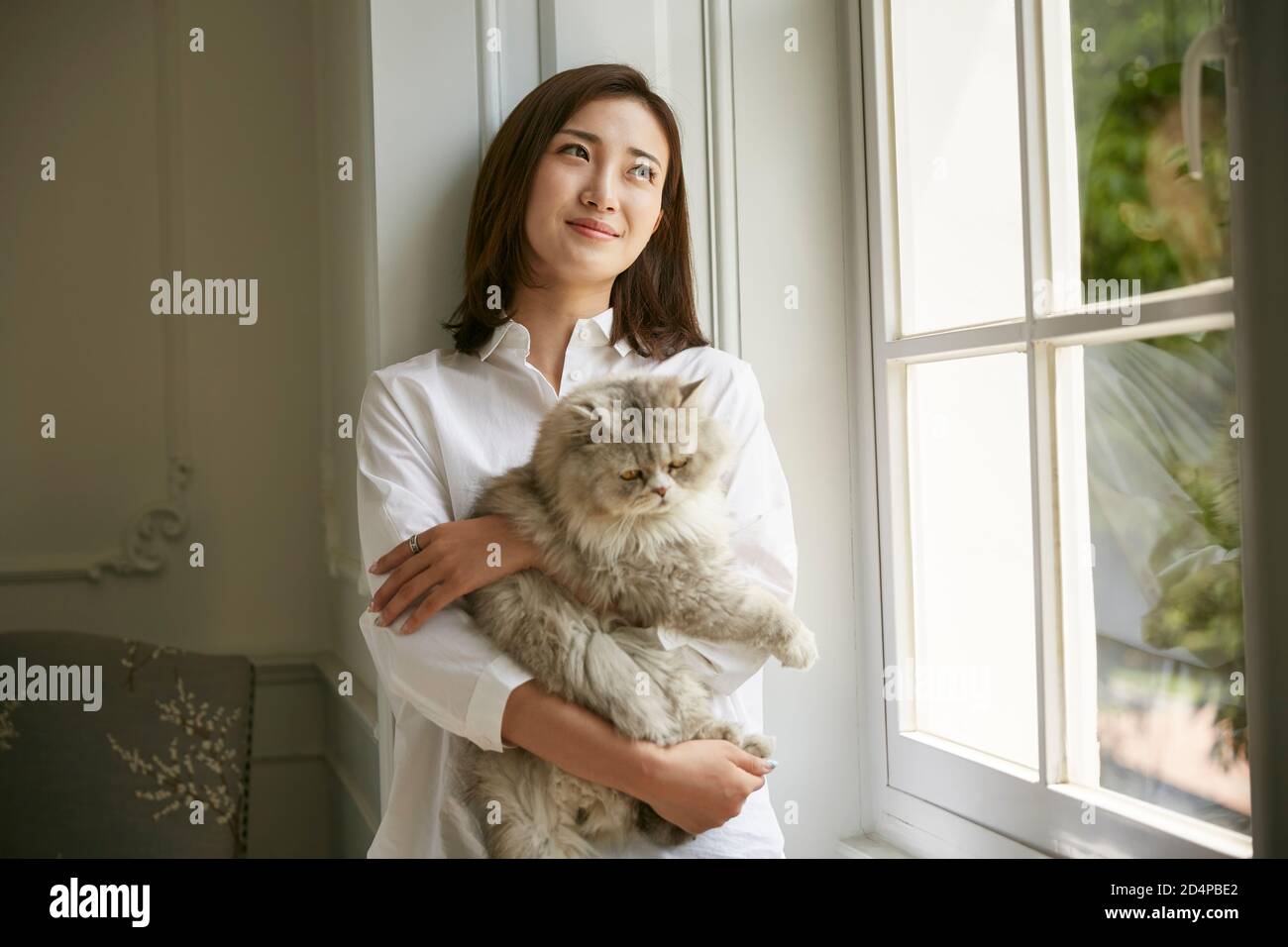 bella giovane donna asiatica in piedi dalla finestra a casa tenuta un gatto in armi che guarda sereno e soddisfatto Foto Stock