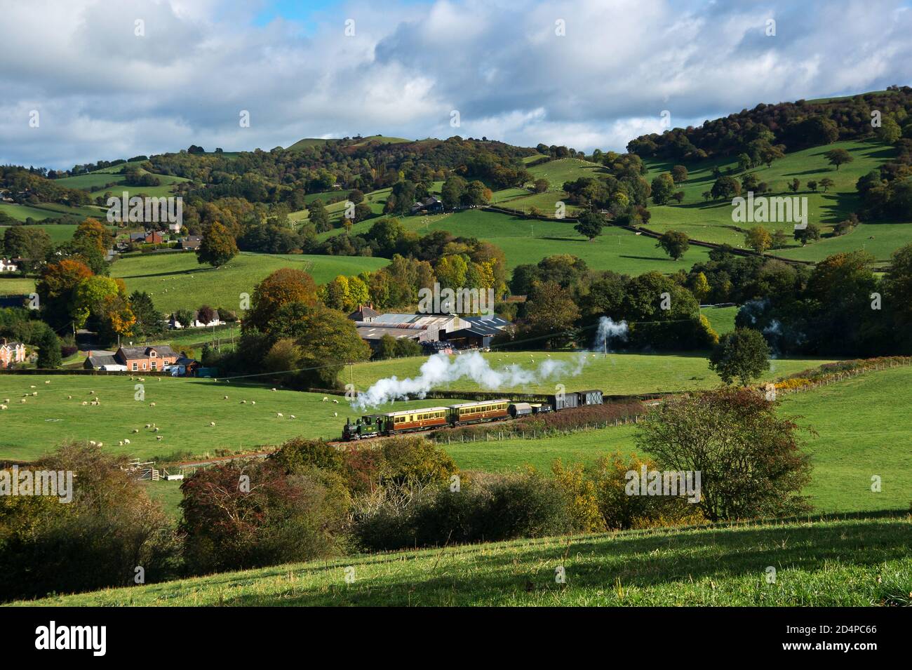 Treno a vapore che si avvicina a Cyfrontydd, Welshpool e Llanfair Railway Foto Stock