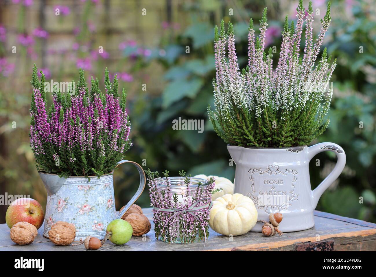 decorazione giardino d'epoca con fiori di erica, zucche e lanterna da tavolo Foto Stock