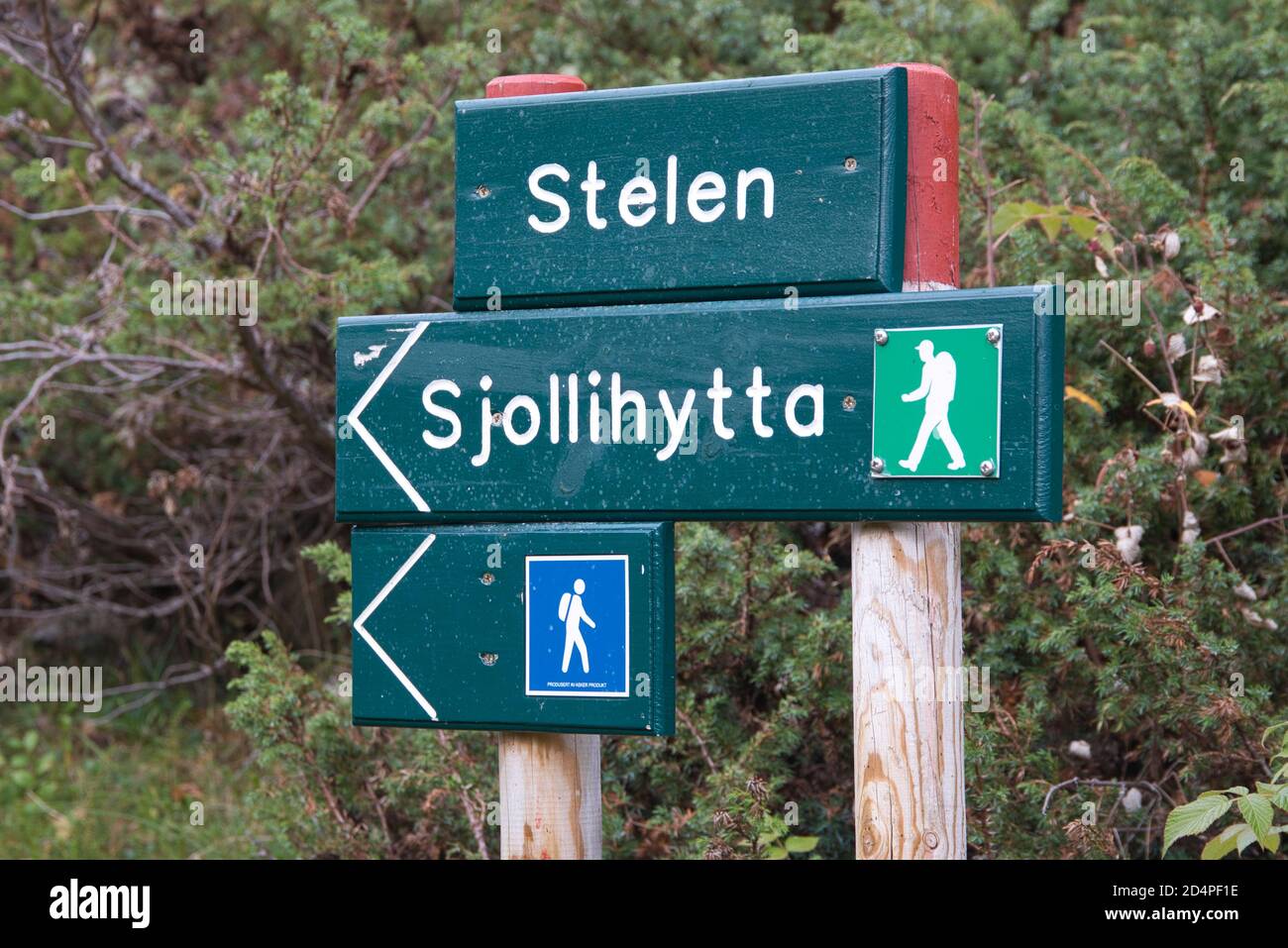 Sentiero escursionistico vicino al villaggio di Kvalvika, Lyngen kommune, Troms, Norvegia Foto Stock