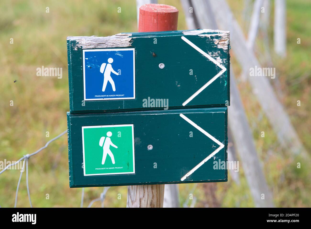 Sentiero escursionistico vicino al villaggio di Kvalvika, Lyngen kommune, Troms, Norvegia Foto Stock