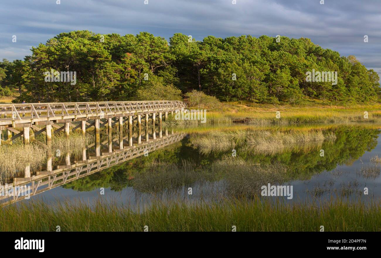 Ponte pedonale in legno attraverso un tranquillo porto Wellfleet a Capo Cod Foto Stock