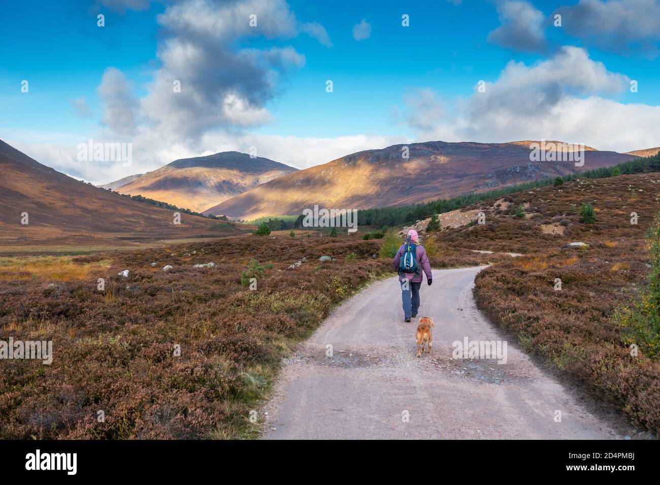 Un camminatore e il loro cane a Glen Lui in Aberdeenshire, Scozia, Regno Unito. Guardando verso il Munro di Carn o Mhaim Foto Stock