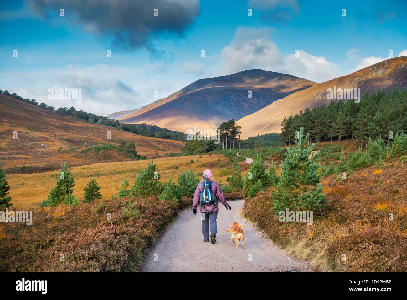 Un camminatore e il loro cane a Glen Lui in Aberdeenshire, Scozia, Regno Unito. Guardando verso il Munro di Carn o Mhaim Foto Stock
