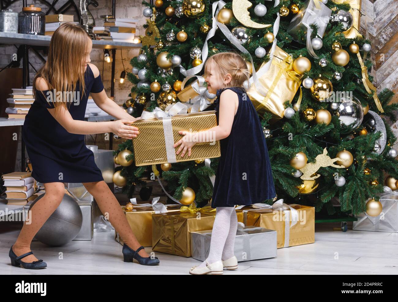 Due sorelle che indossano abiti blu che tirano un grande regalo dorato  avvolto Box lotta vicino decorato albero di Natale non può condividere un  regalo il giorno della boxe Foto stock -