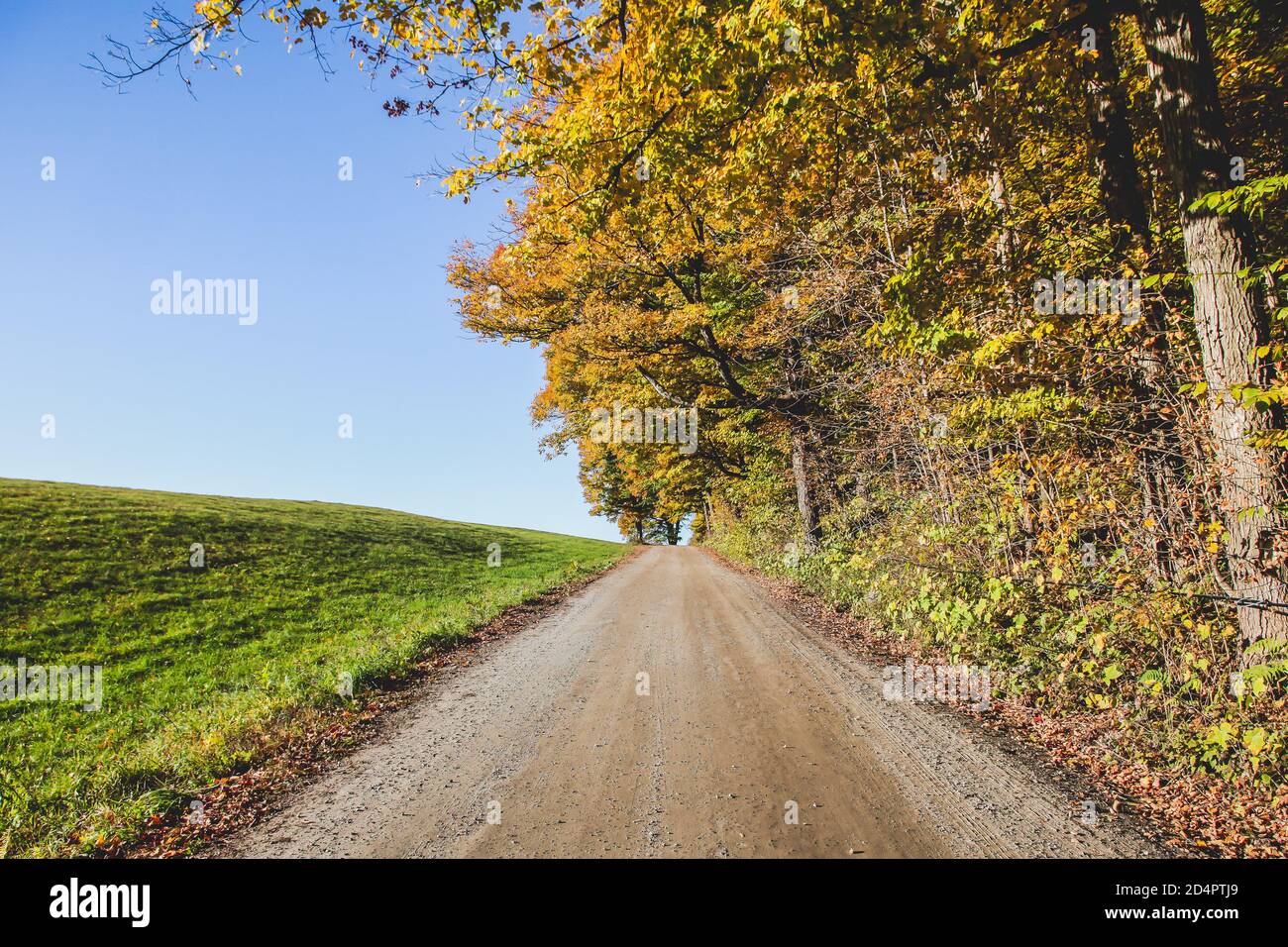 Strada sterrata con colori autunnali e cielo blu e verde erba Foto Stock