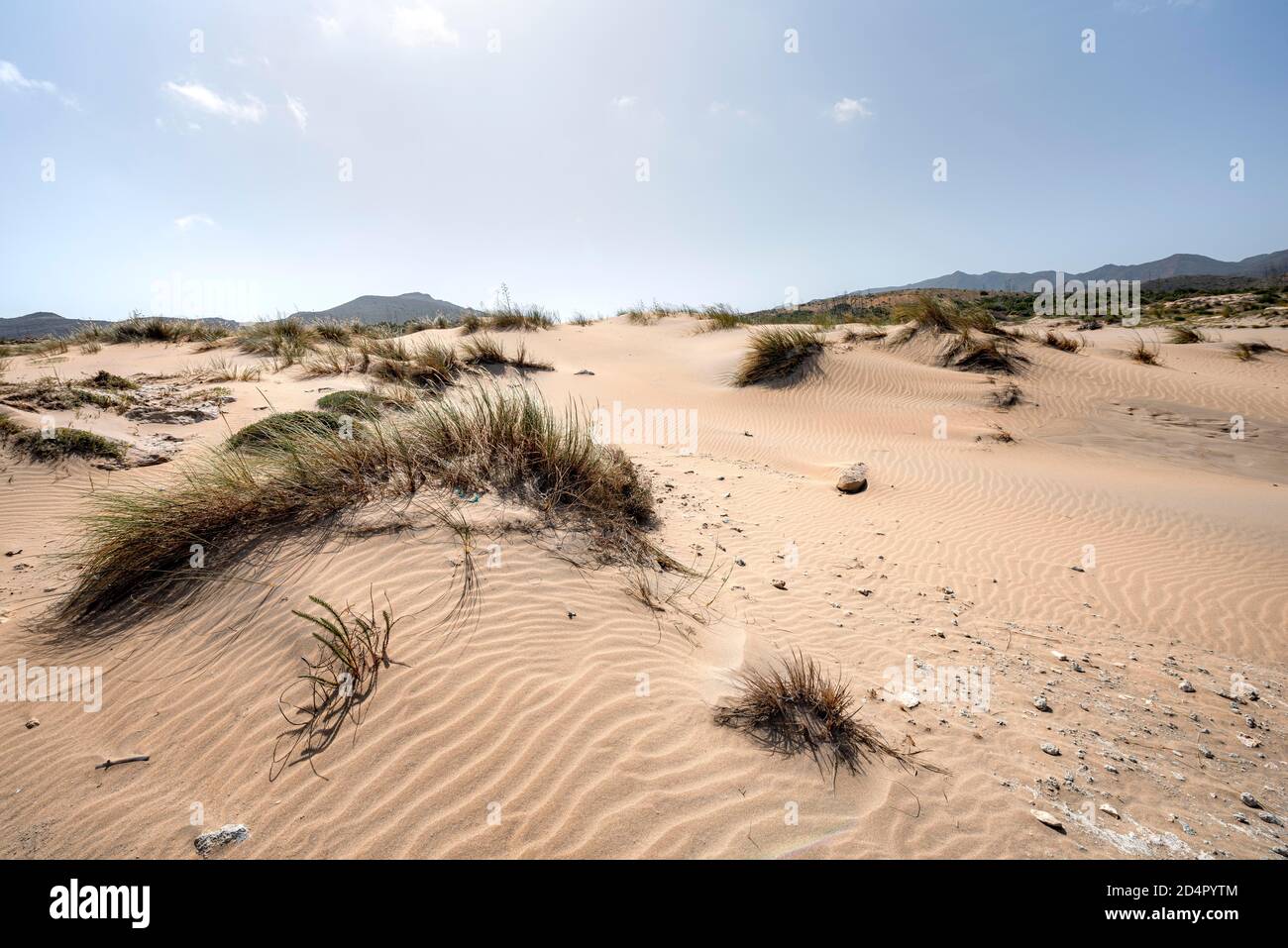 Dune di sabbia sulla spiaggia, Playa de Los Genoveses, Parco Nazionale Cabo de Gata-Nijar, Almería, Spagna, Europa Foto Stock