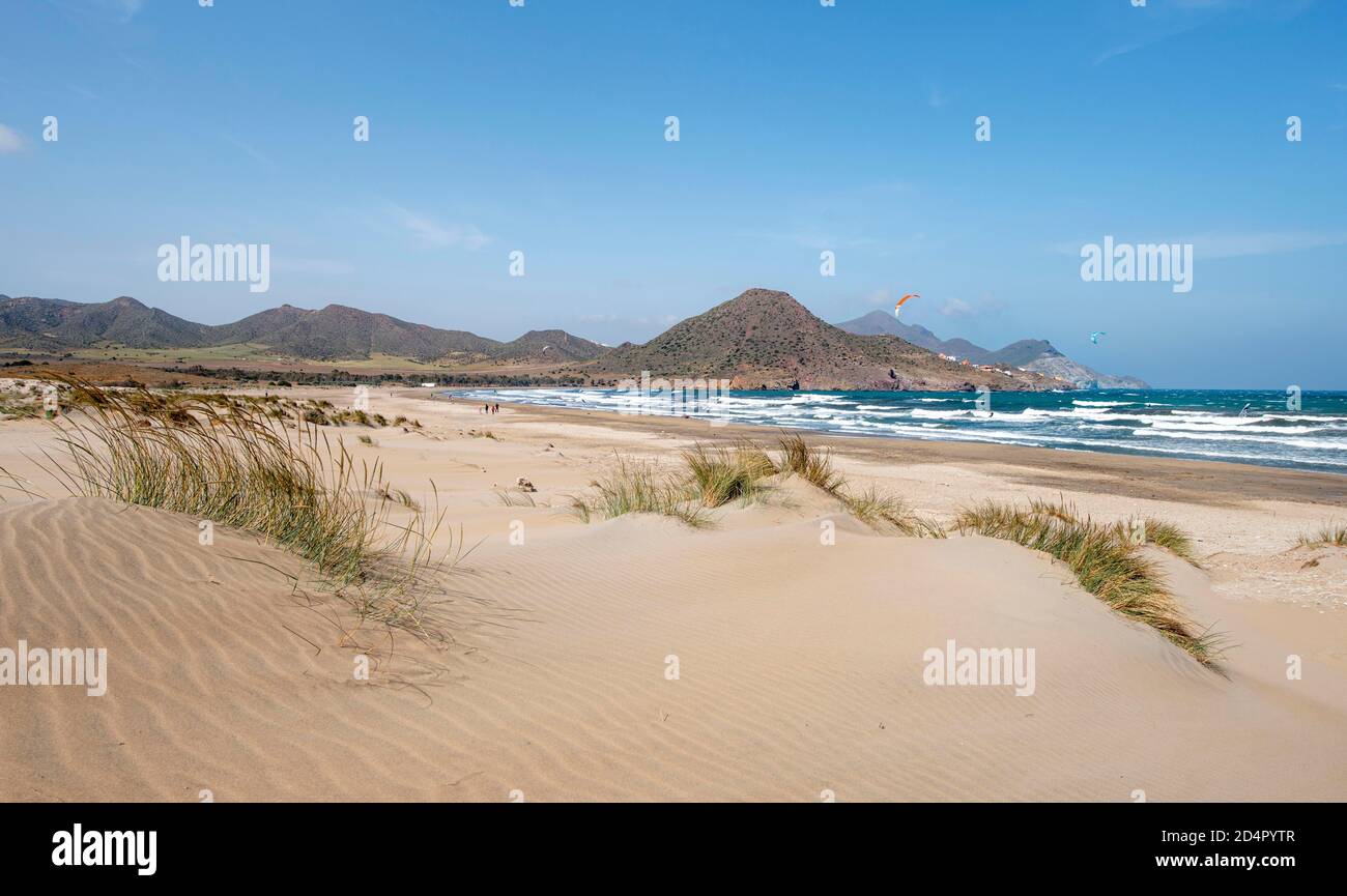Dune di sabbia sulla spiaggia, Playa de Los Genoveses, Parco Nazionale Cabo de Gata-Nijar, Almería, Spagna, Europa Foto Stock