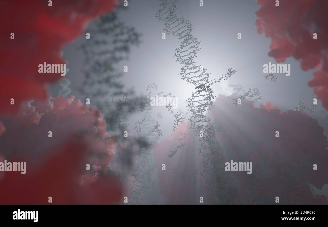 Il mondo all'interno di una cellula umana. Stringhe di DNA, nucleotidi (che formano coppie di basi nel DNA) e proteine all'interno del nucleo di una cellula eucariotica. Foto Stock