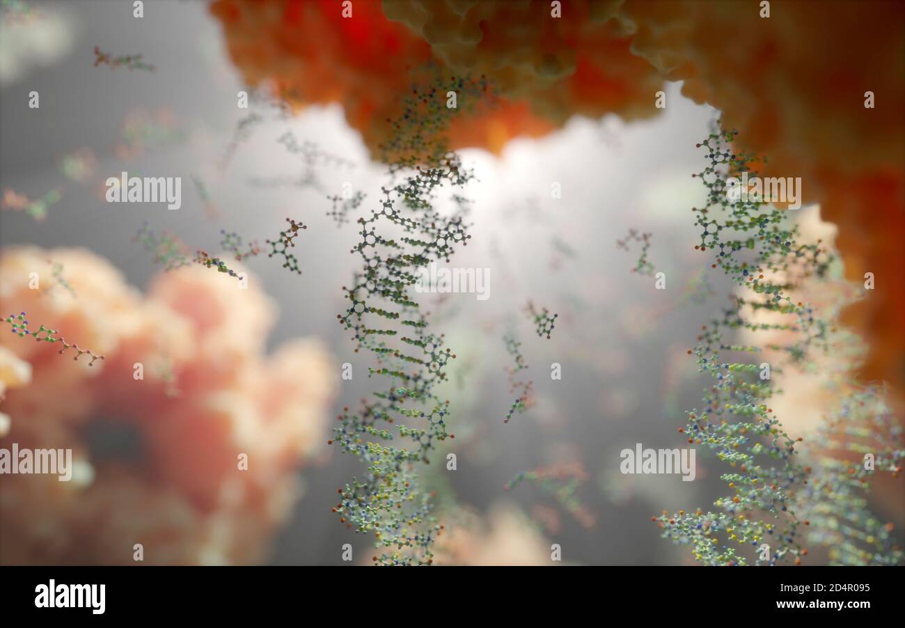 Il mondo all'interno di una cellula umana. Stringhe di DNA, nucleotidi (che formano coppie di basi nel DNA) e proteine all'interno del nucleo di una cellula eucariotica. Foto Stock