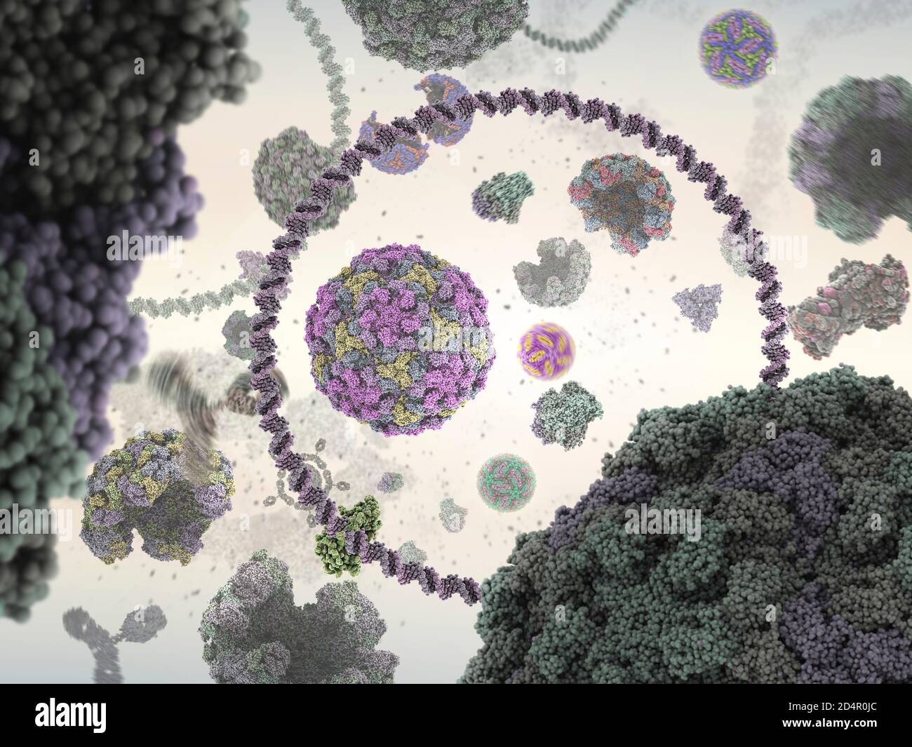 Virus (Zika e altri tipi di virus) e plasmide (un tipo circolare di DNA). Foto Stock