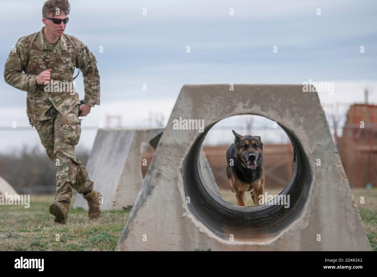 Senior Airman Michael Madeira, 7th Security Forces Squadron Military Working Dog handler e MWD Fix Train alla base dell'aeronautica militare di Dyess, Texas, 21 gennaio 2020. La sezione dell'allevamento 7th SFS ha un percorso di ostacolo per formare e costruire un rapporto tra gestori e MLD. (STATI UNITI Foto Air Force Di Senior Airman River Bruce) Foto Stock