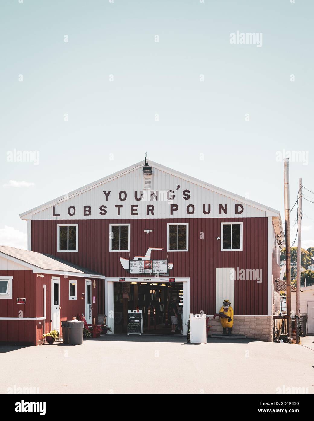 Youngs Lobster Pound, a Belfast, Maine Foto Stock