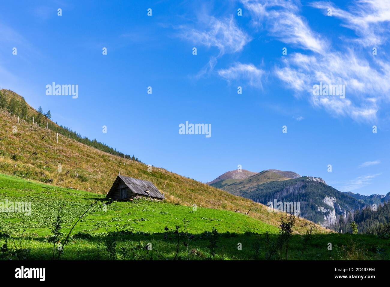 Piccola capanna di pastore in legno su una vivida radura verde con i Monti Tatra sullo sfondo e cielo blu cristallino, valle nel Parco Nazionale di Tatra, Polonia Foto Stock
