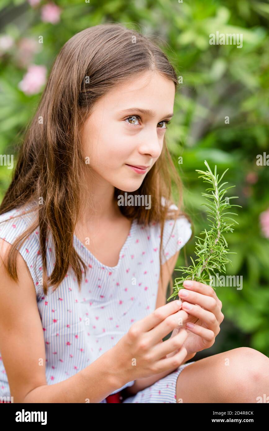 12-year-old ragazza che odora rosmarino. Foto Stock