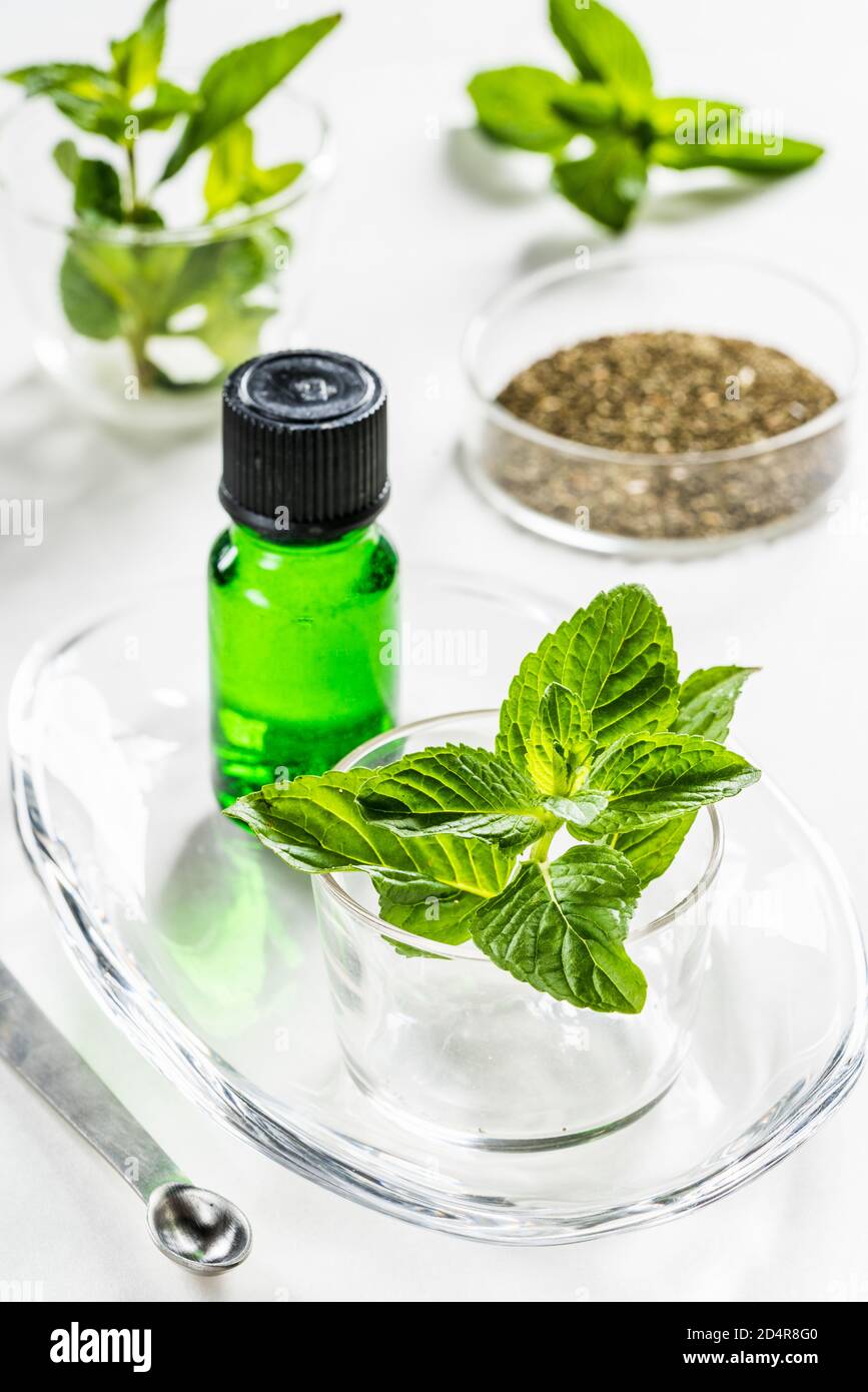 Olio essenziale di menta piperita. Foto Stock