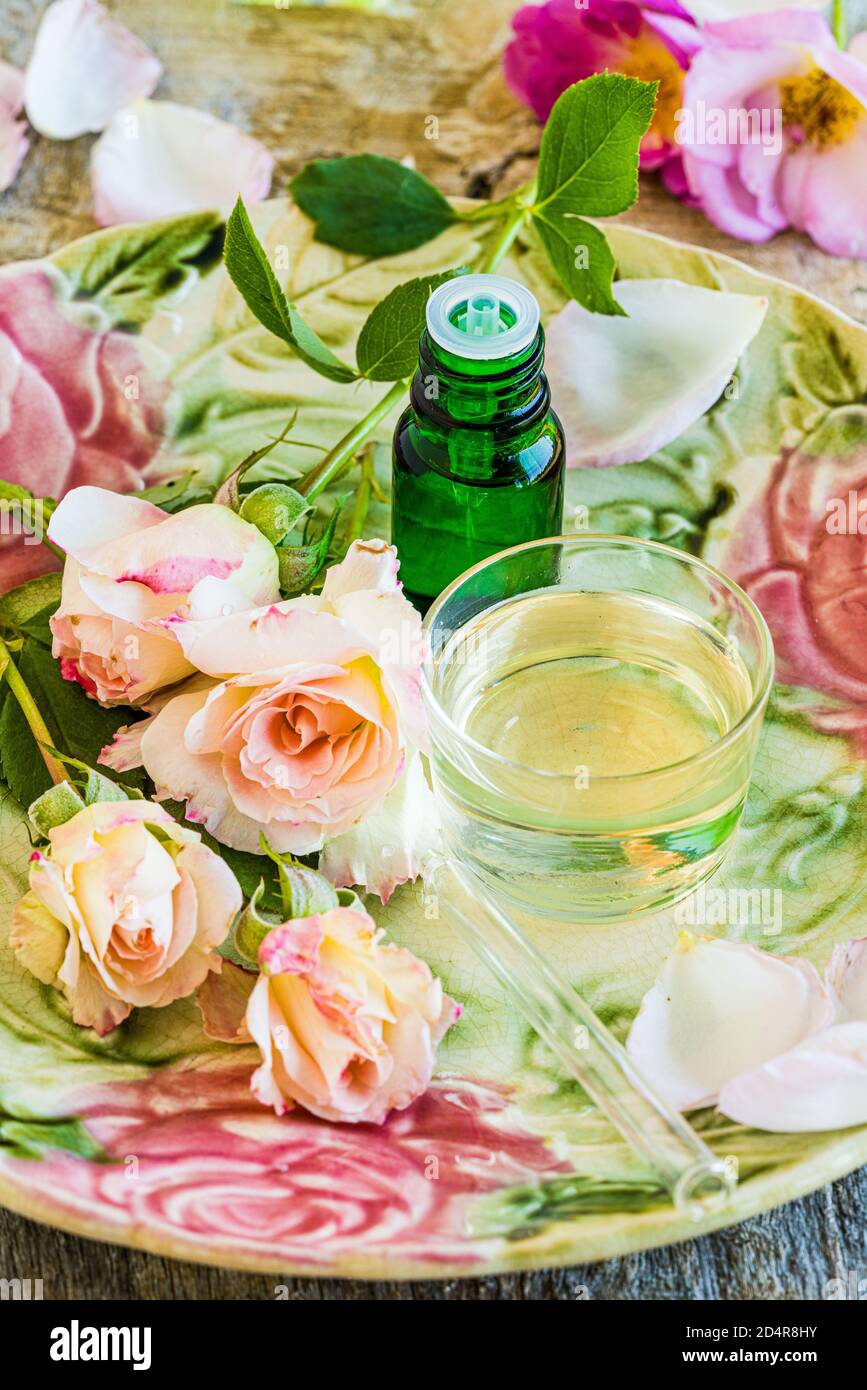 Rose olio essenziale. Foto Stock