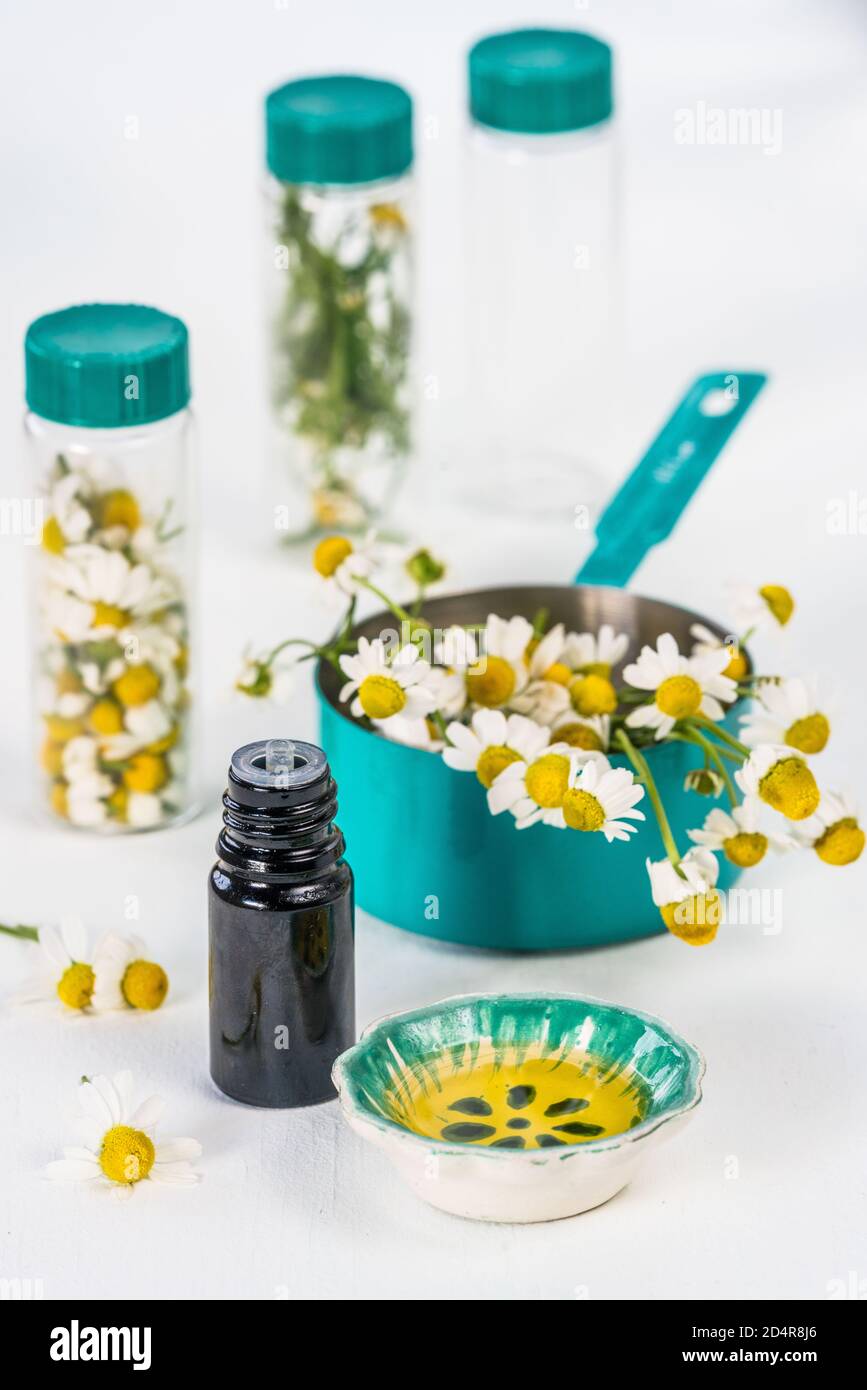 Olio essenziale di Camomilla. Foto Stock