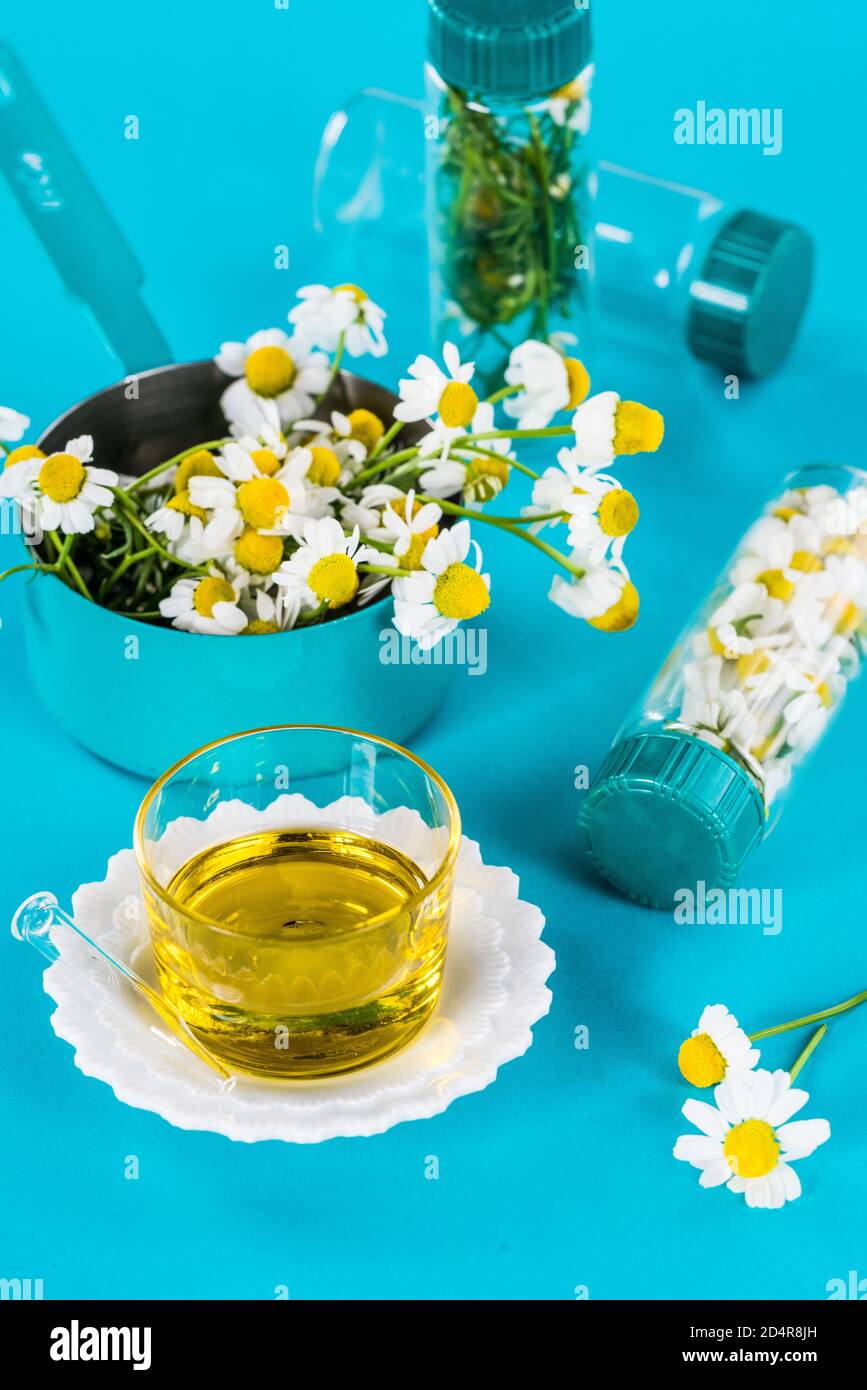 Olio essenziale di Camomilla. Foto Stock
