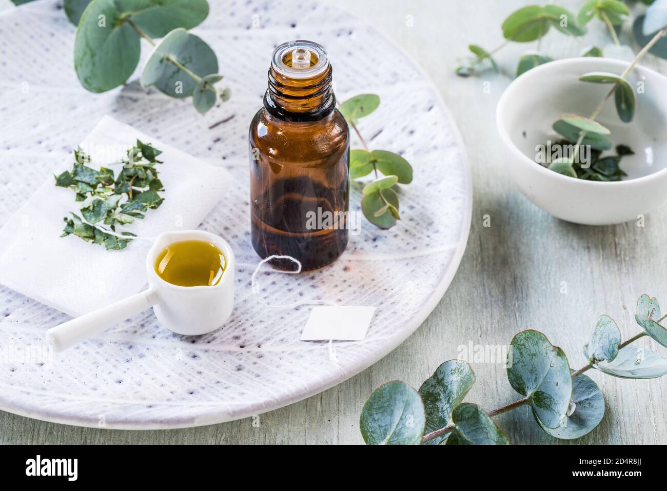 Olio essenziale di eucalipto. Foto Stock