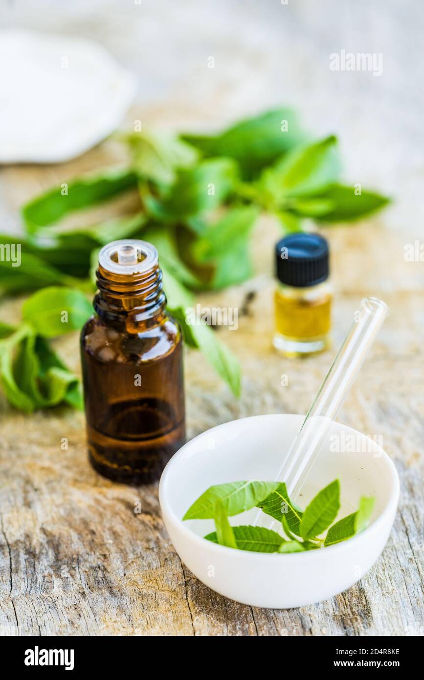 Bottiglia di verbena del limone olio essenziale (Aloysia triphylla). Foto Stock