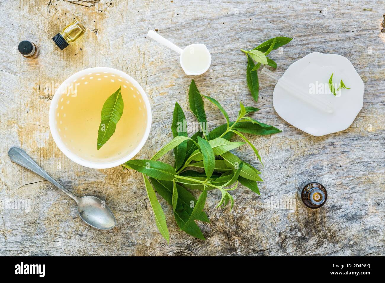 Tè e bottiglia di olio essenziale di verbena al limone (Aloysia trifylla). Foto Stock