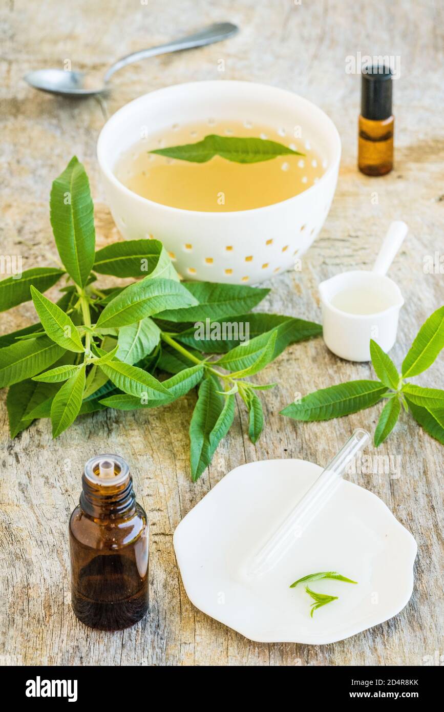 Tè e bottiglia di olio essenziale di verbena al limone (Aloysia trifylla). Foto Stock
