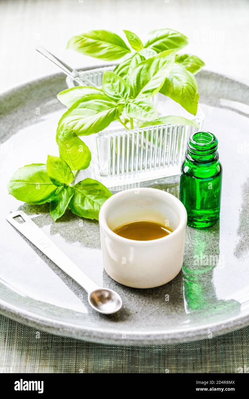 Olio essenziale di basilico. Foto Stock