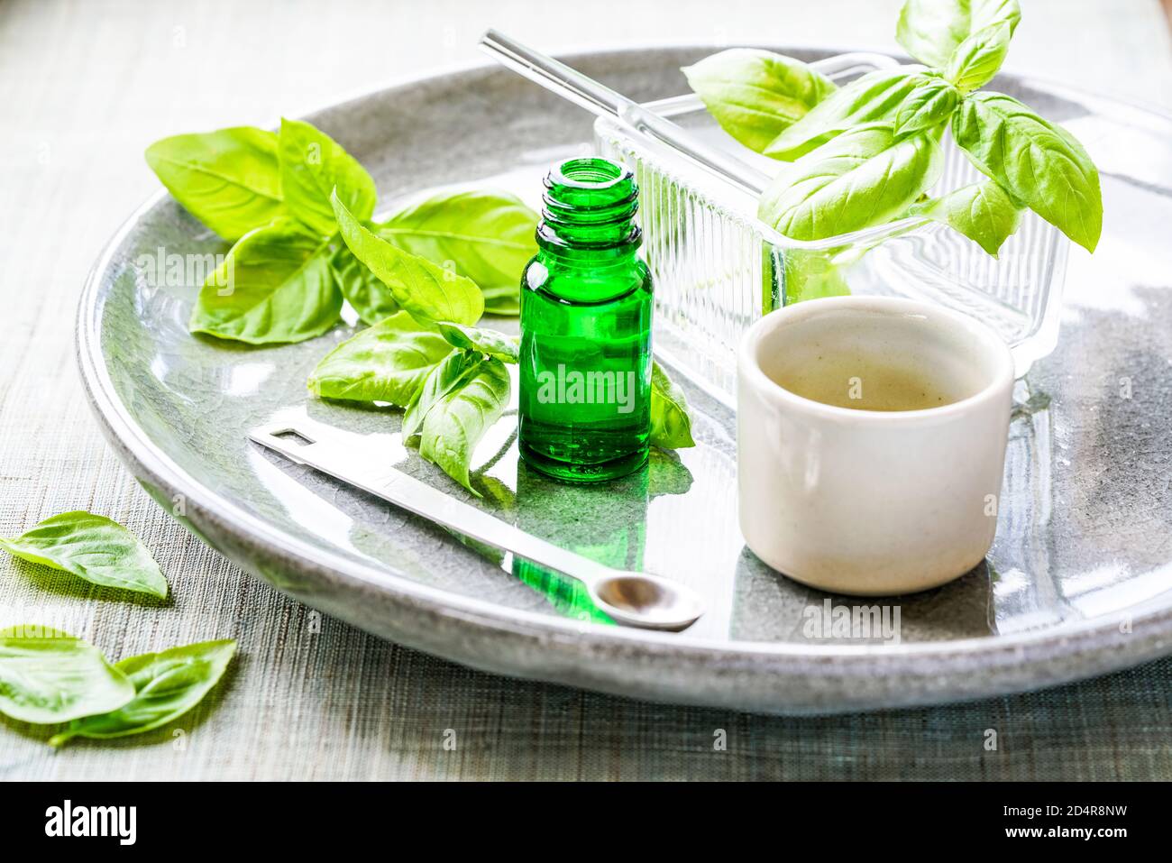 Olio essenziale di basilico. Foto Stock