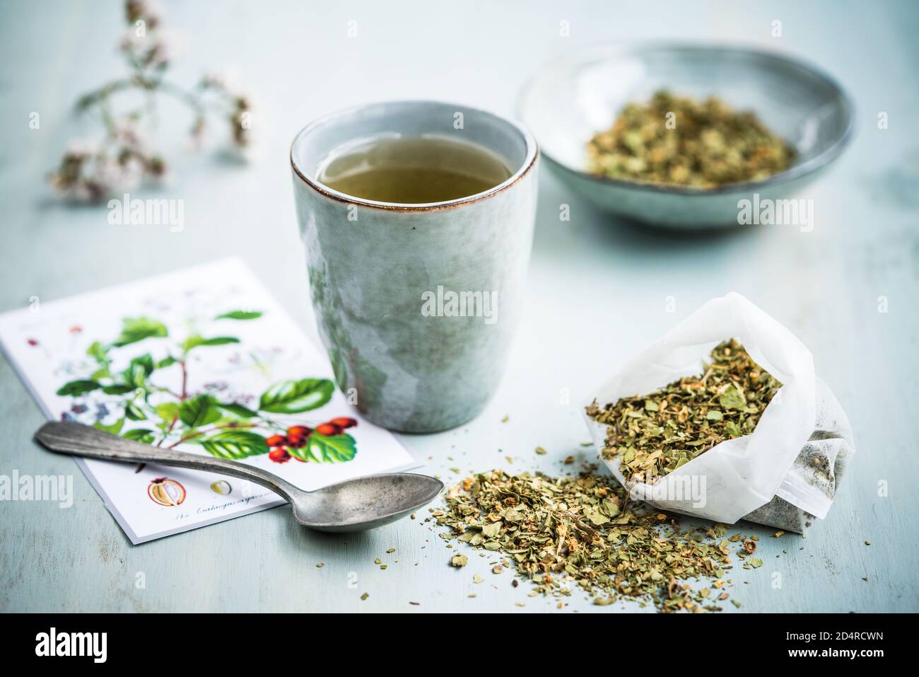 Tè del fiore del biancospino (Crataegus monogyna), questo tè è usato come un diuretico e un tonico. Foto Stock