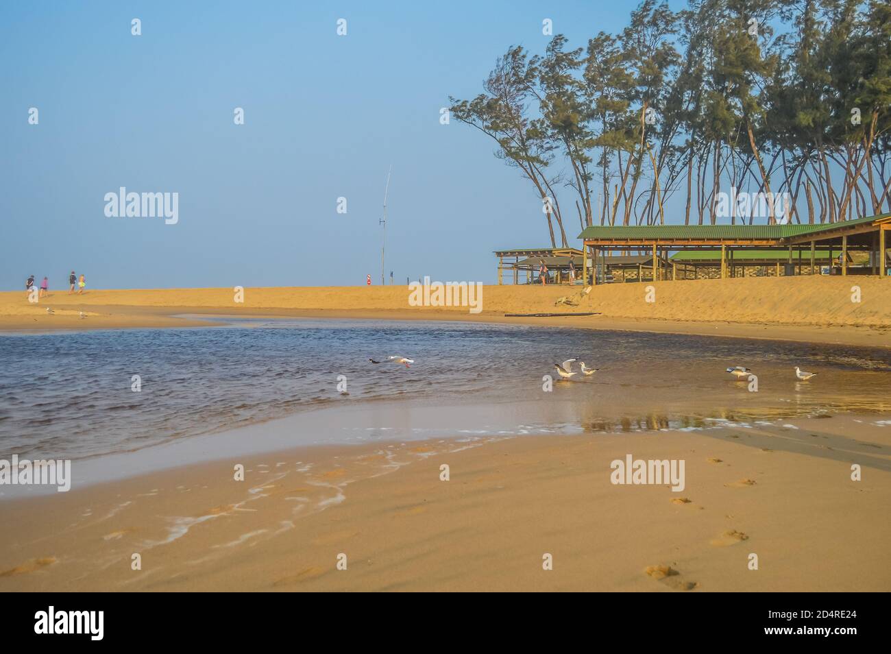 Paesaggio della spiaggia della baia di Sodwana a Isimandaliso in Africa del Sud Foto Stock