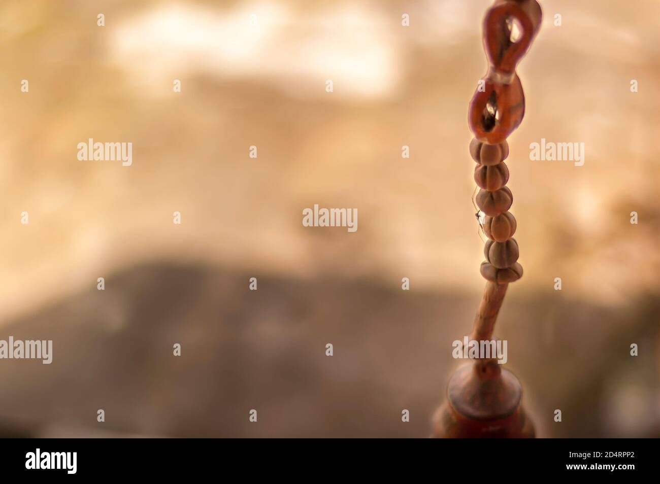 Un insetto si trova su un manufatto da giardino in terracotta contenente più perline di argilla, sospese nell'aria da una corda. Foto Stock