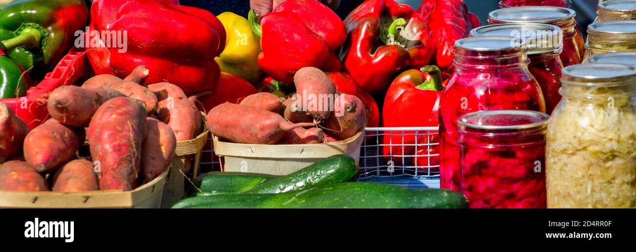 Freschi cibi sani per la vendita in una fattoria di supporto comprende peperoni rossi e verdi, patate dolci, cetrioli, e vasi di bietole e crauti. Foto Stock