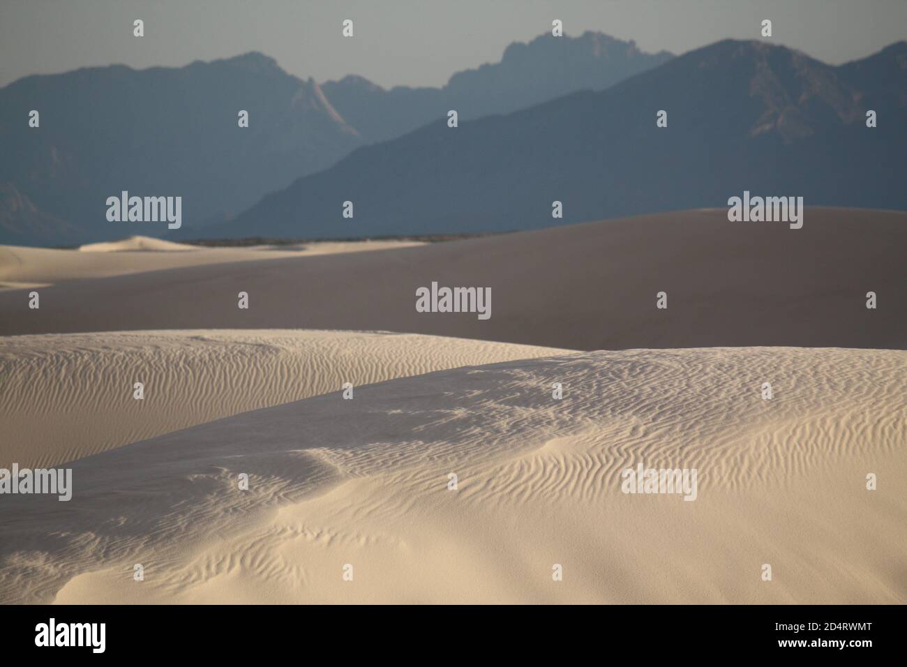 White Sands National Park Foto Stock