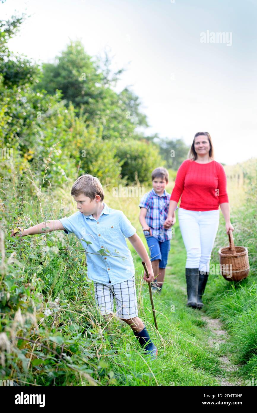 Una madre con i suoi figli che vanno blackberry picking nella campagna del Gloucestershire, Regno Unito Foto Stock