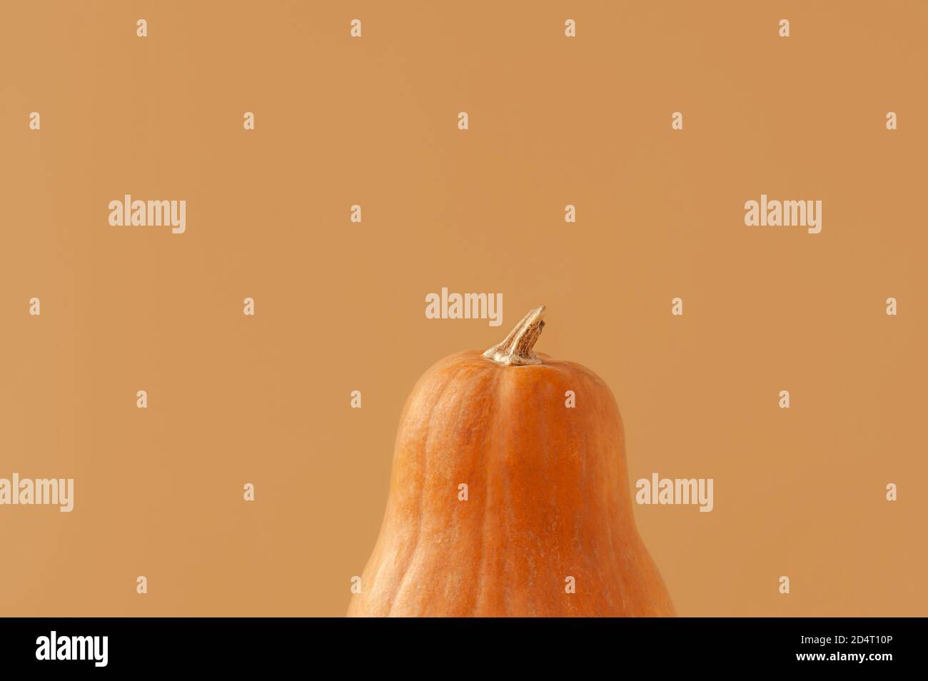 zucca arancione con coda verde secca su fondo beige pulito, trend monocromatico minimalismo alimentare, messa a fuoco selettiva Foto Stock