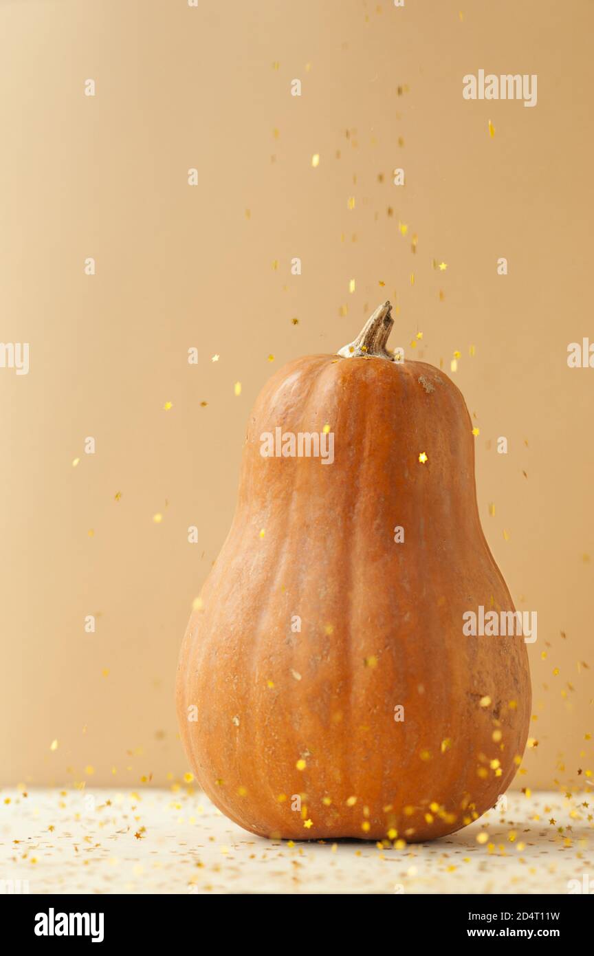 le paillette d'oro spruzzano sulla zucca ovale arancione bella con coda asciutta su sfondo bianco monocromatico, tendenza al minimalismo del cibo per le vacanze, messa a fuoco selettiva Foto Stock
