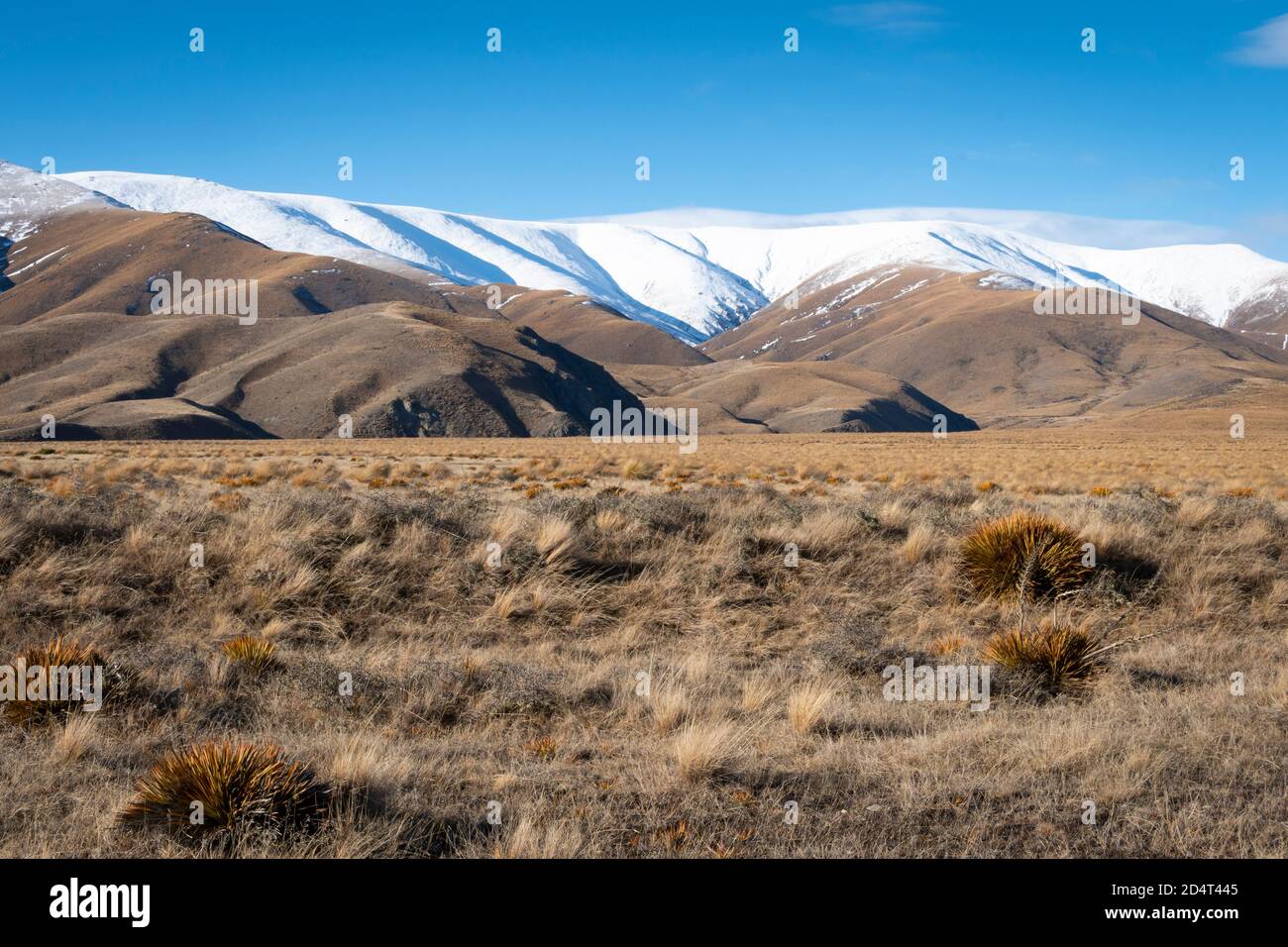 Hawkdun Range, vicino a St Bathans, Otago, Isola del Sud, Nuova Zelanda Foto Stock