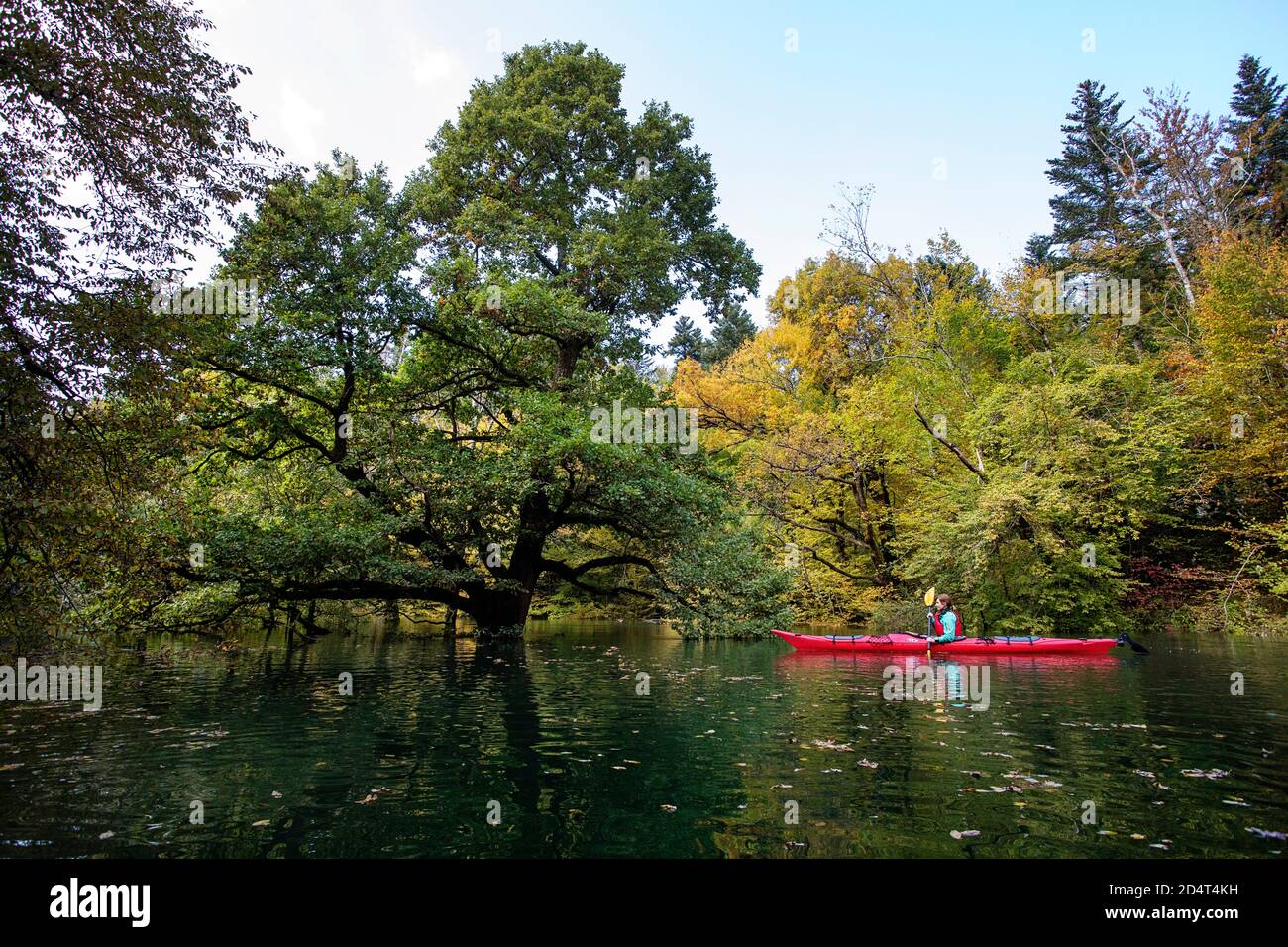 Donna kayak in foresta allagata a Rakov skocjan, Slovenia Foto Stock