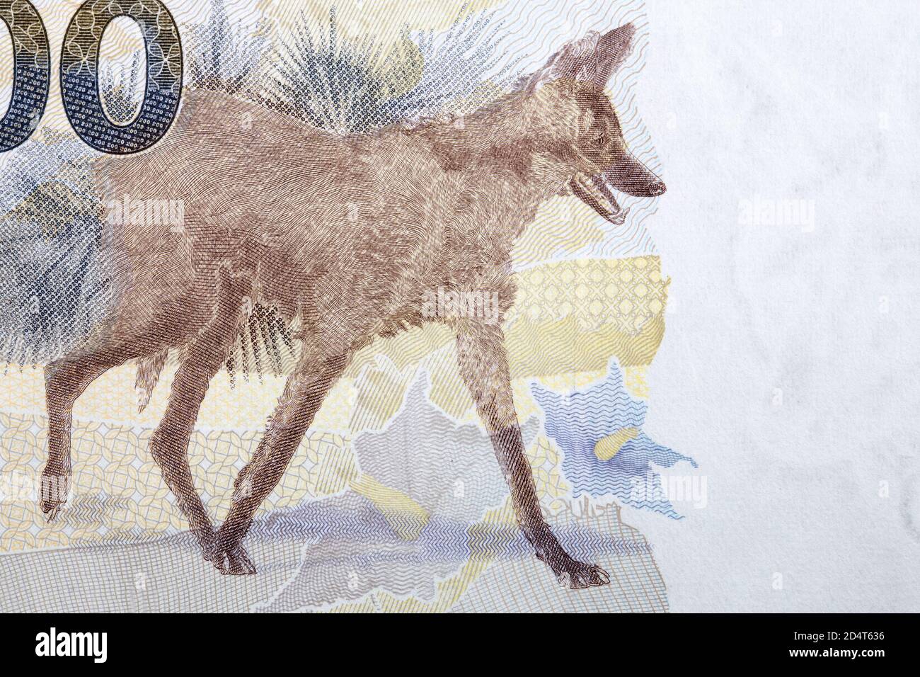 Maned Wolf un ritratto dal denaro brasiliano Foto Stock