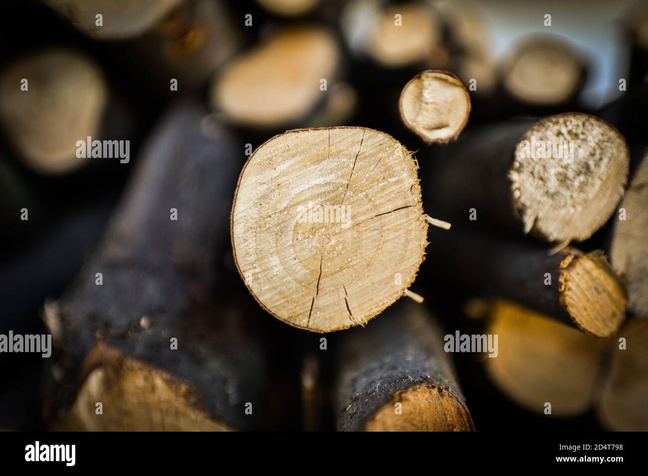 Mucchio di legno Foto Stock