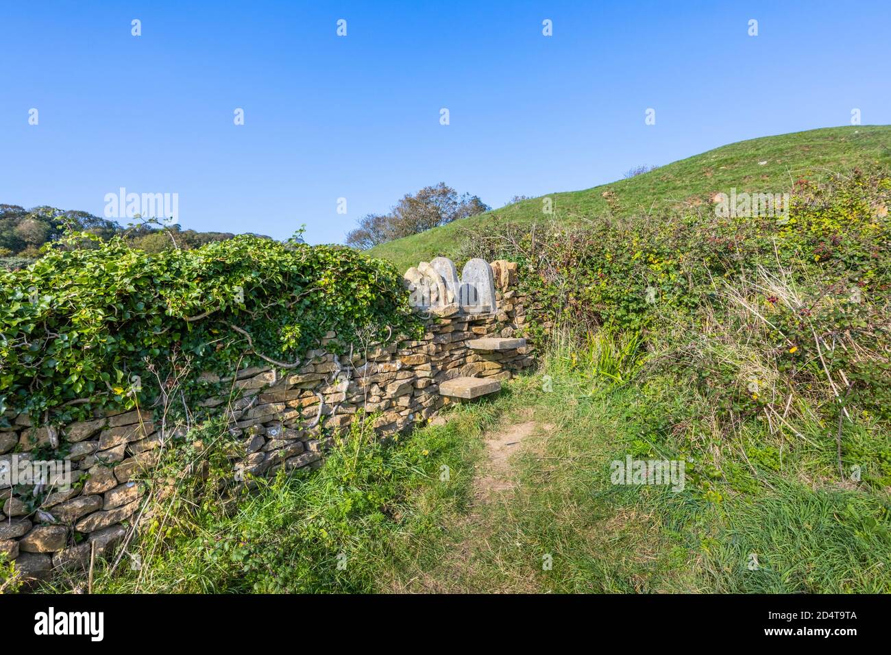 Il tipico sentiero pubblico si snodano in un muro di pietra a secco sul South-West Coast Path sulla Jurassic Coast vicino a Abbotsbury, Dorset, Inghilterra sudoccidentale Foto Stock