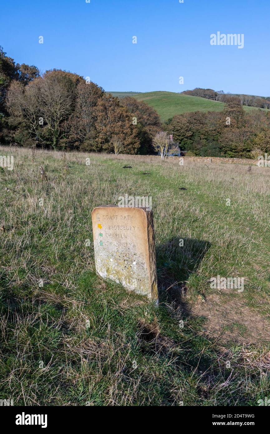 Indicatore di distanza del Milepost in pietra in un campo sul percorso della costa sud-occidentale sulla costa storica vicino a Abbotsbury, Dorset, Foto Stock