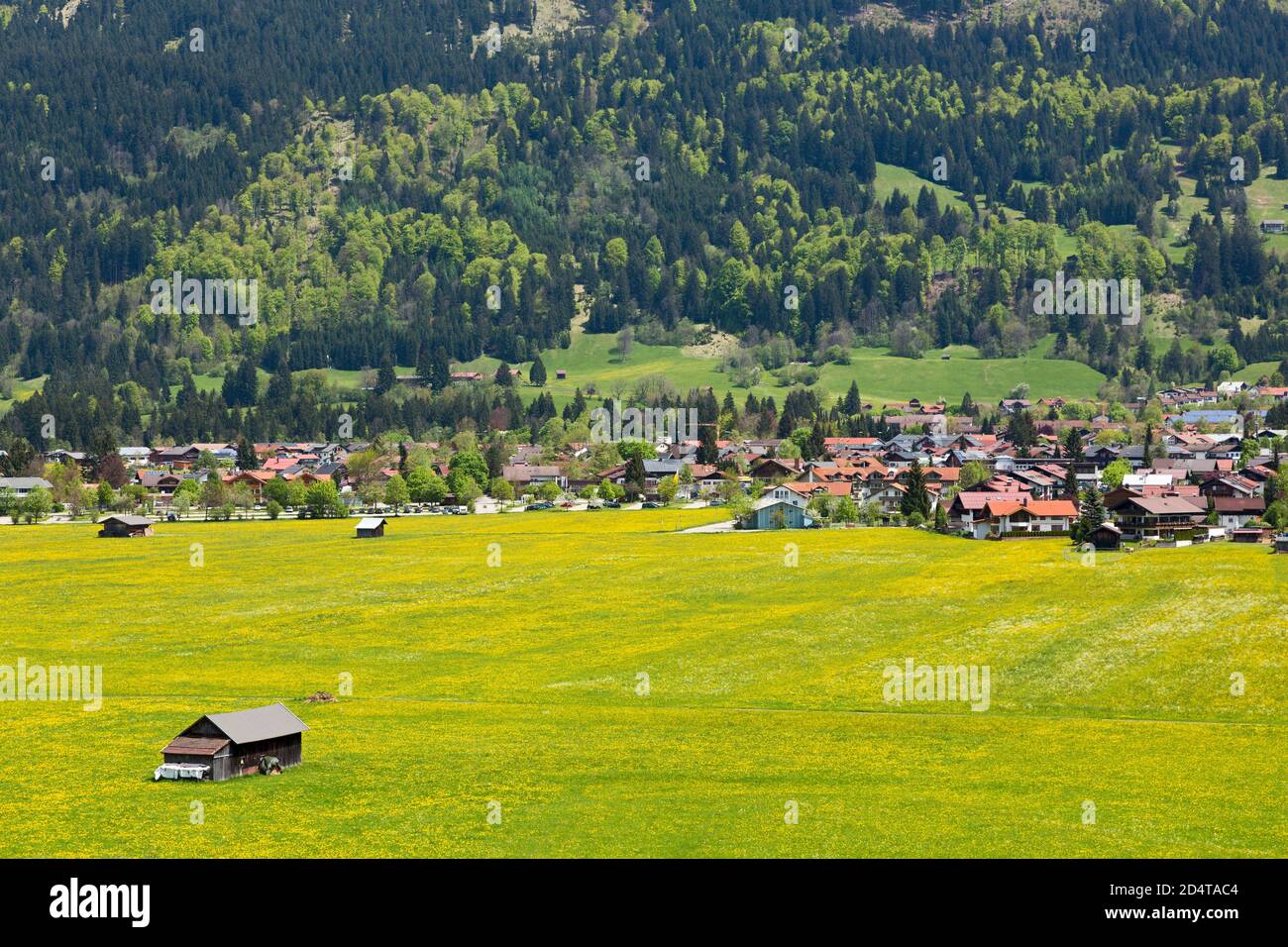 Allgäu, Oberstdorf, blühende Wiesen, Berge, Landschaft Foto Stock