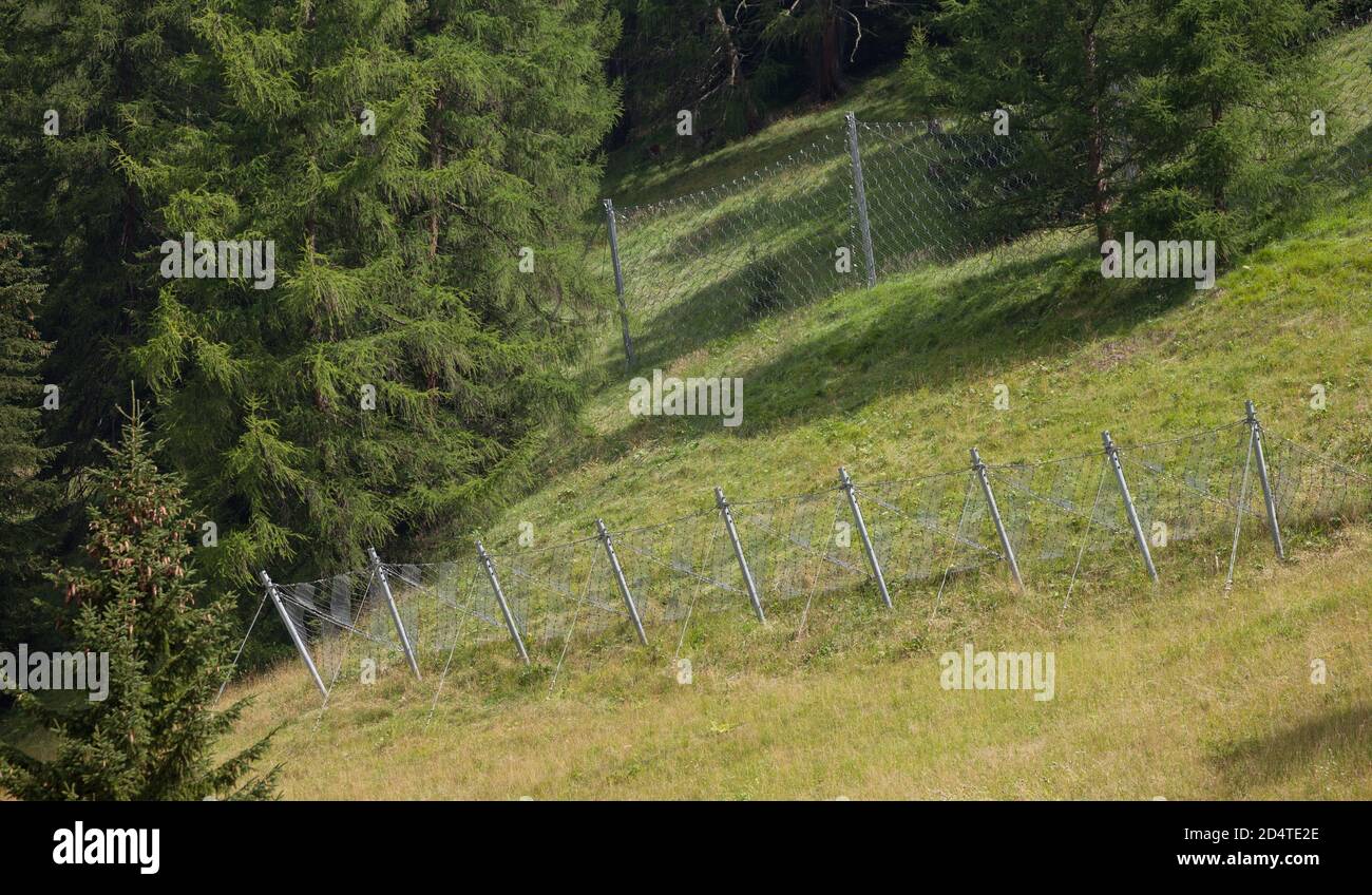 nuove reti metalliche tra i boschi per evitare valanghe o. pietre rotolanti lunghe un pendio di montagna Foto Stock