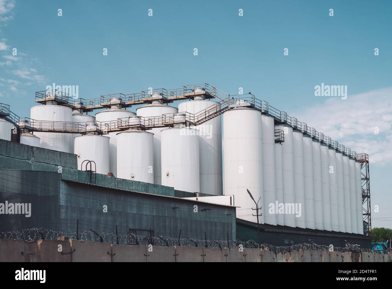 Silos agricoli. Deposito ed essiccazione di grani, grano, mais, soia, girasole. Esterno dell'edificio industriale. Grandi contenitori in argento metallizzato primo piano. Foto Stock
