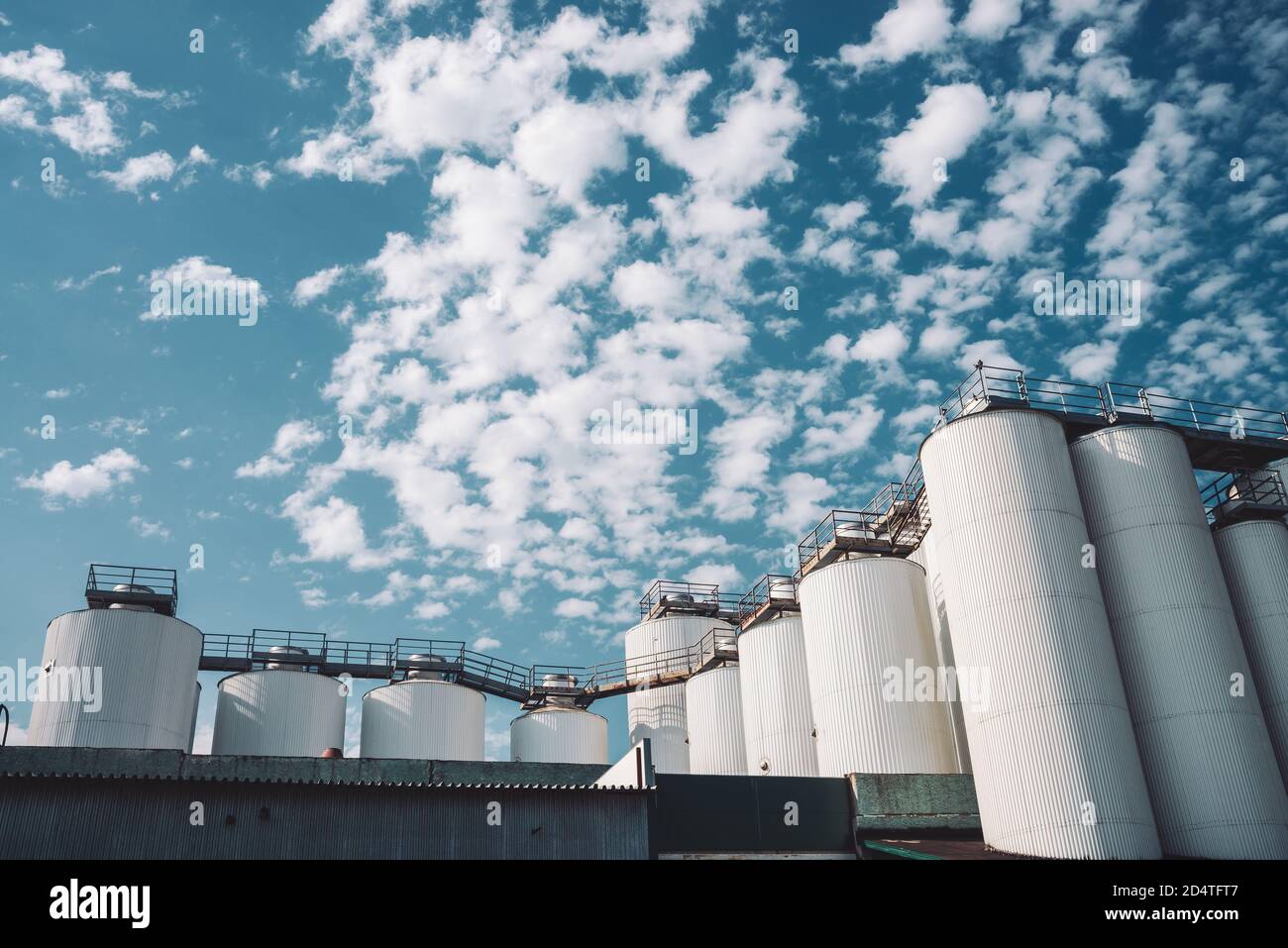 Silos agricoli. Deposito ed essiccazione di grani, grano, mais, soia, girasole. Esterno dell'edificio industriale. Grandi contenitori in argento metallizzato primo piano. Foto Stock
