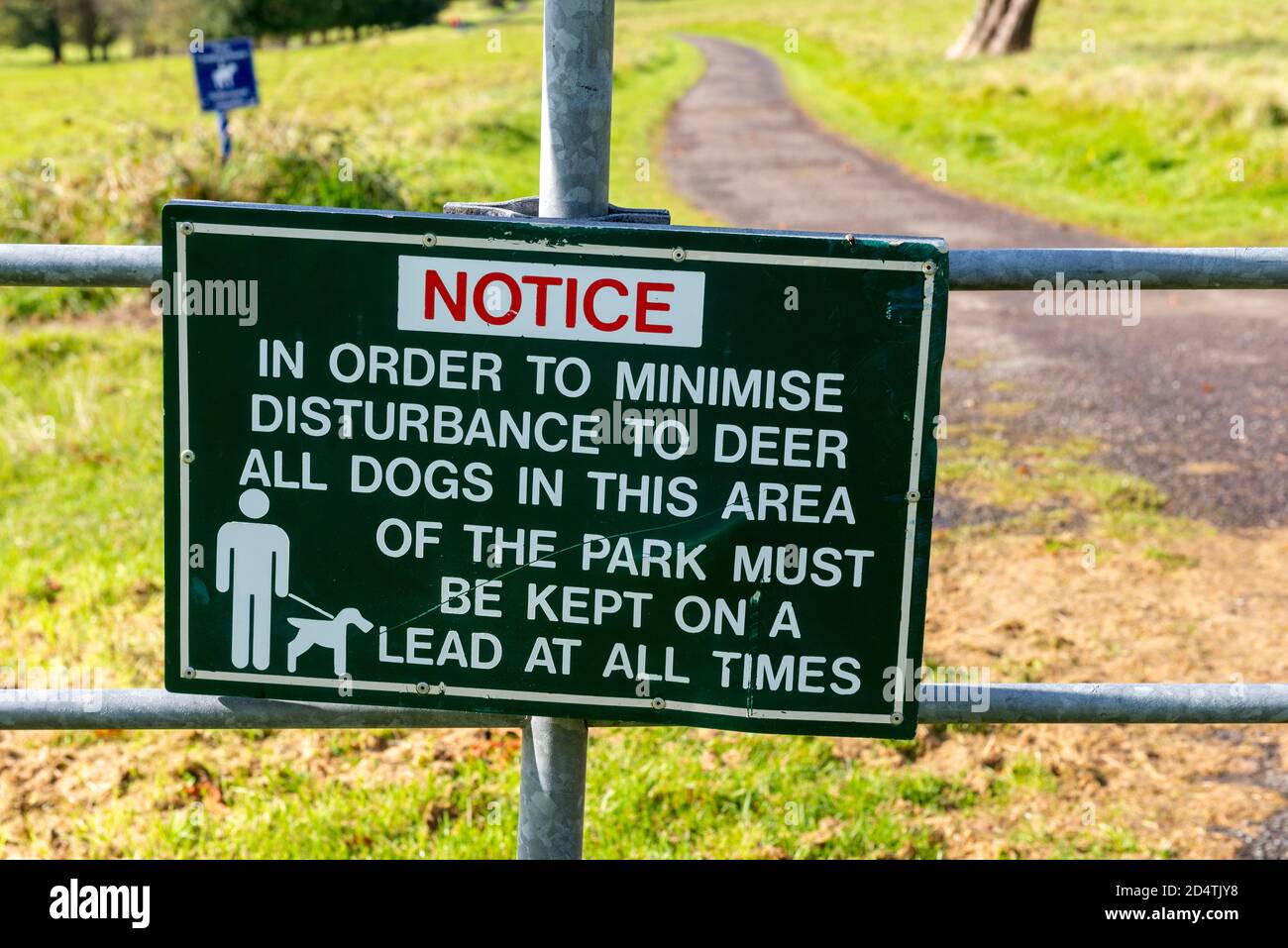 Cartello con le regole del parco Red Deer Rut e cartello con la scritta "Notice Board" nel Killarney National Park, County Kerry, Irlanda Foto Stock