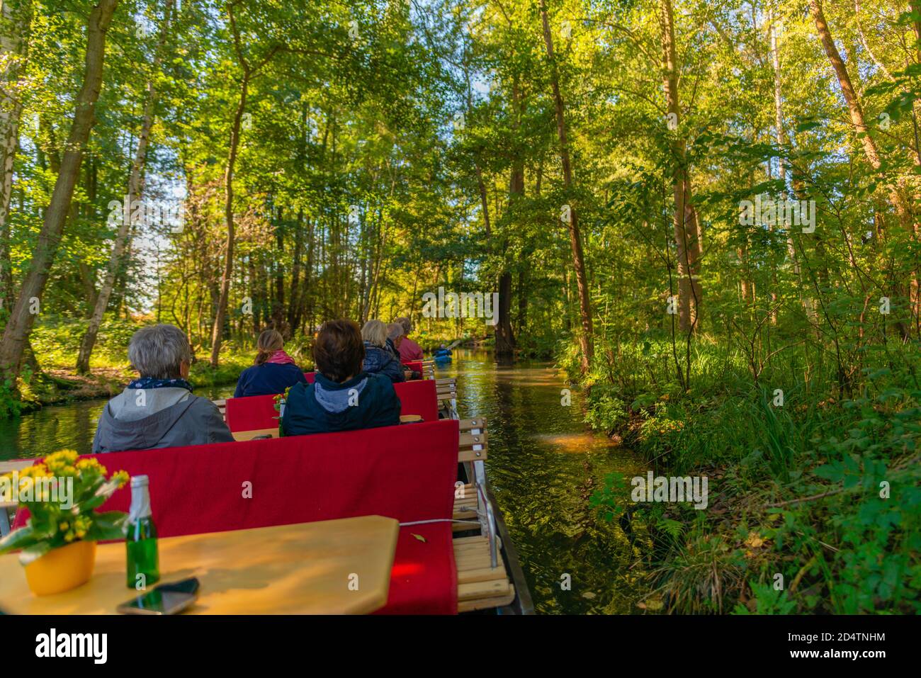 La riserva della biosfera dell'UNESCO Spreewald o la foresta di Spree, un tour in barca che parte dalla comunità di Burg, Brandeburgo, Germania orientale, Europa Foto Stock