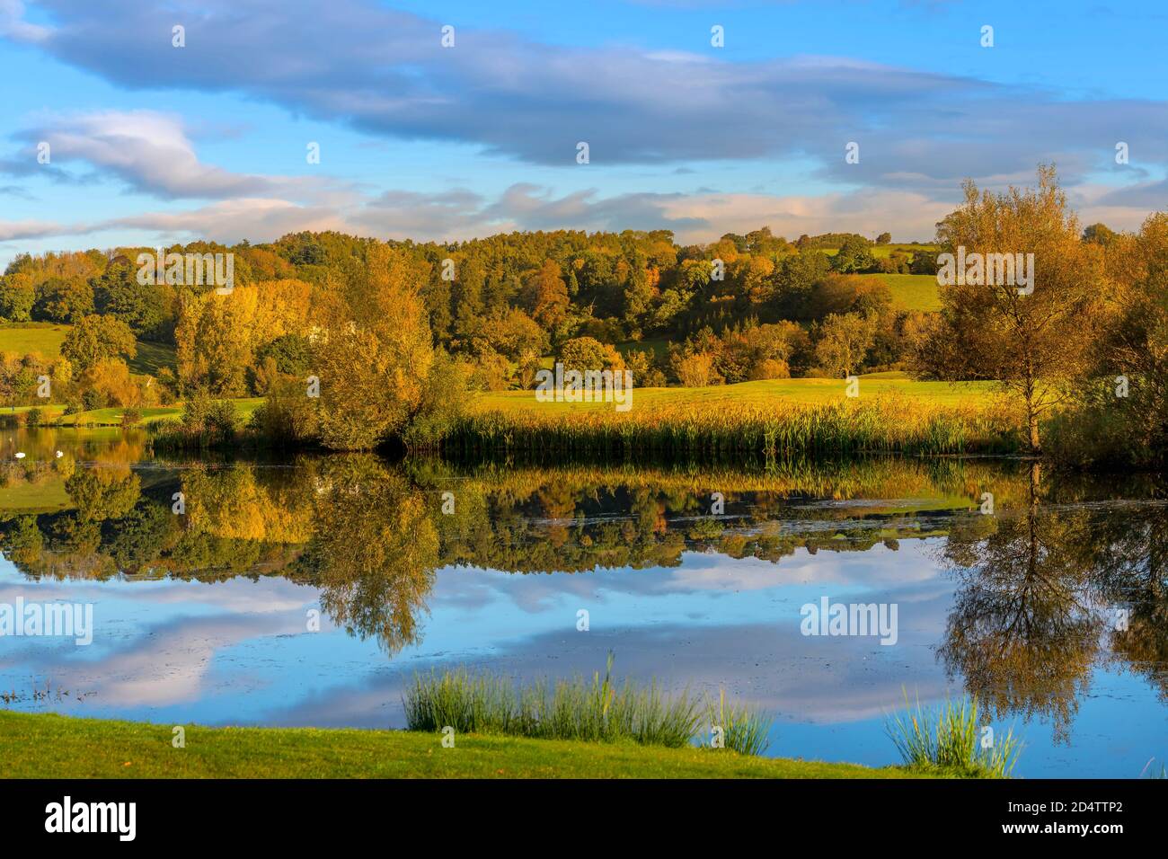 Caerleon, Newport Gwent, Galles del Sud in autunno Foto Stock